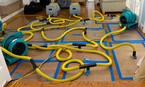 Professional Water Damage Repair technician working in Milford, PA